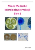 Minor Medische Microbiologie Praktijk Blok 2 