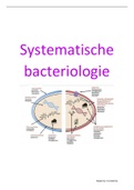 Minor medische Microbiologie blok 2 theorie   praktijk
