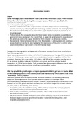 Thomas More - Asian Business Topics Discussions - 10 page summary