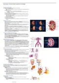 Anatomie en fysiologie van het urinaire stelsel
