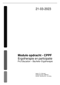 Module opdracht ergotherapie en participatie - uitwerking volgens het CPPF