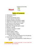 Full Human Anatomy of the Heart and Cardio Sys