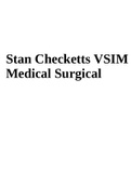 Stan Checketts VSIM