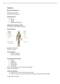 Anatomie samenvatting compleet (10 onderdelen)