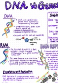 Summary notes for basics in biology 