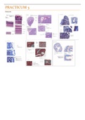 Microscopiebeelden Histologie met benamingen