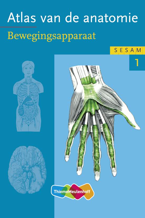 Sesam atlas van de anatomie / deel 1 Bewegingsapparaat