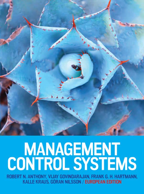 Management Control Systems (Minor) 