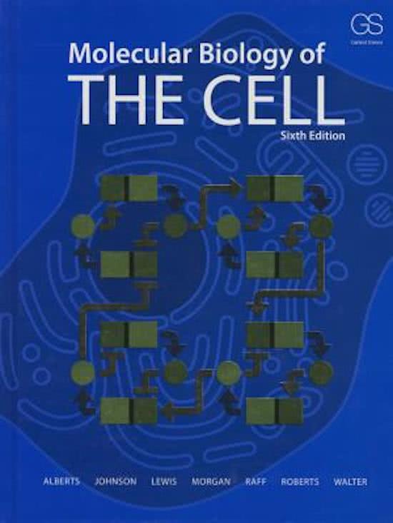 Hoofdstuk 4 samenvatting (college+boek)(Molecular Biology of the Cell)