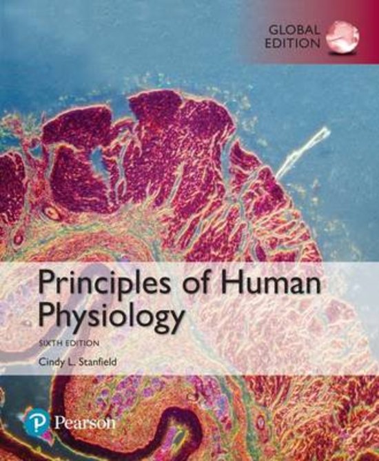 Human and animal physiology 2, summary