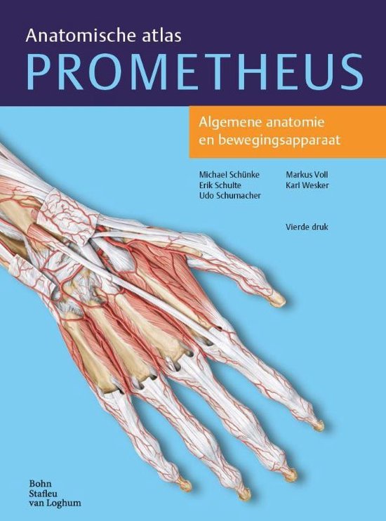 Samenvatting: BOKS Anatomie Werk, Sport en Hobby (Blok B) Hogeschool Utrecht fysiotherapie jaar 1